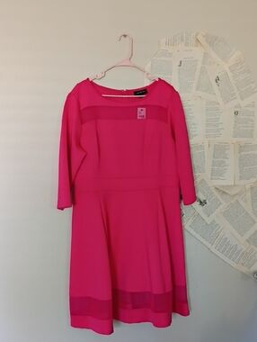 NWT Lane Bryant Pink Dress With Mesh Detailing